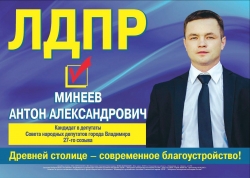 Выборы депутатов СНД г. Владимира